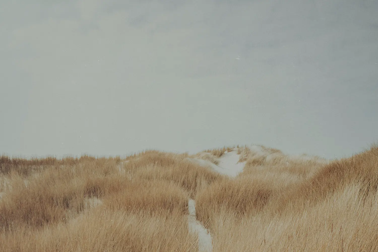 The Next Generation Needs Mentorship, Not Programs