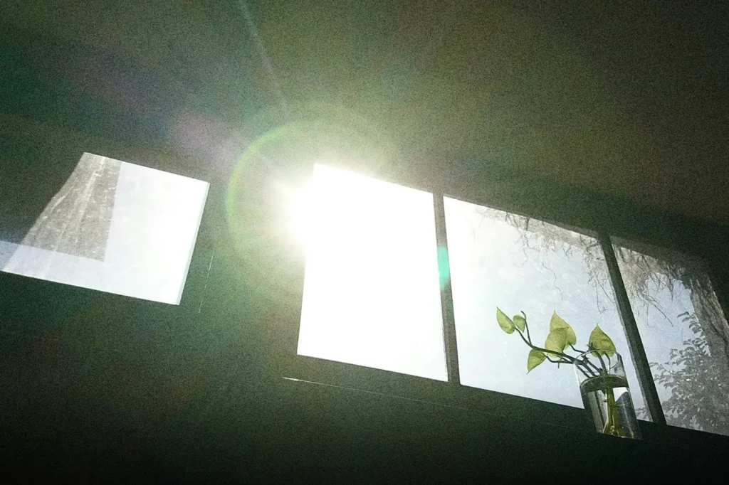 Sunlight shining through a window onto a small plant, symbolizing growth, peace, and the simple shifts that create a satisfied life.