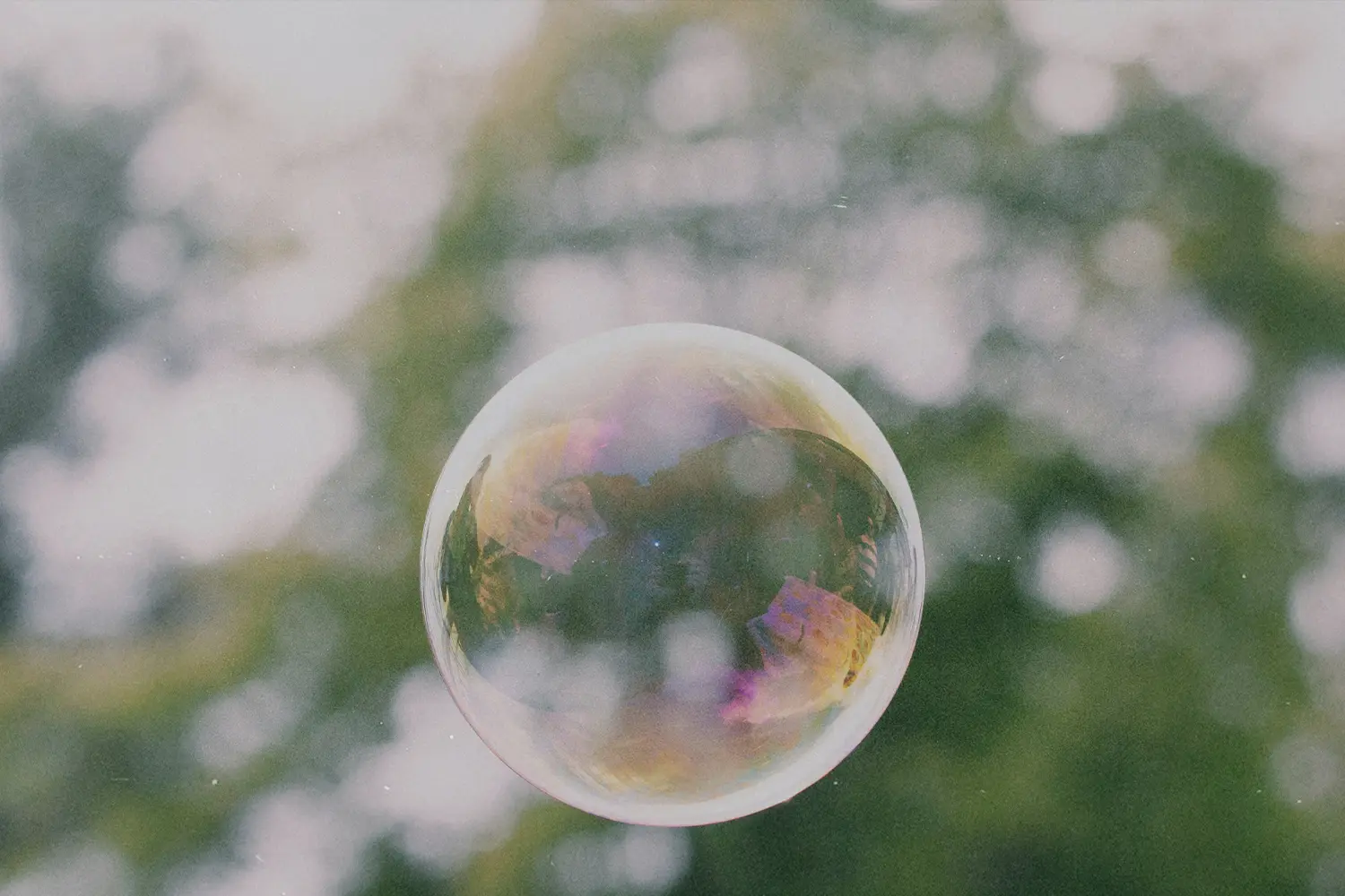 A translucent soap bubble floating outdoors against a softly blurred green background.