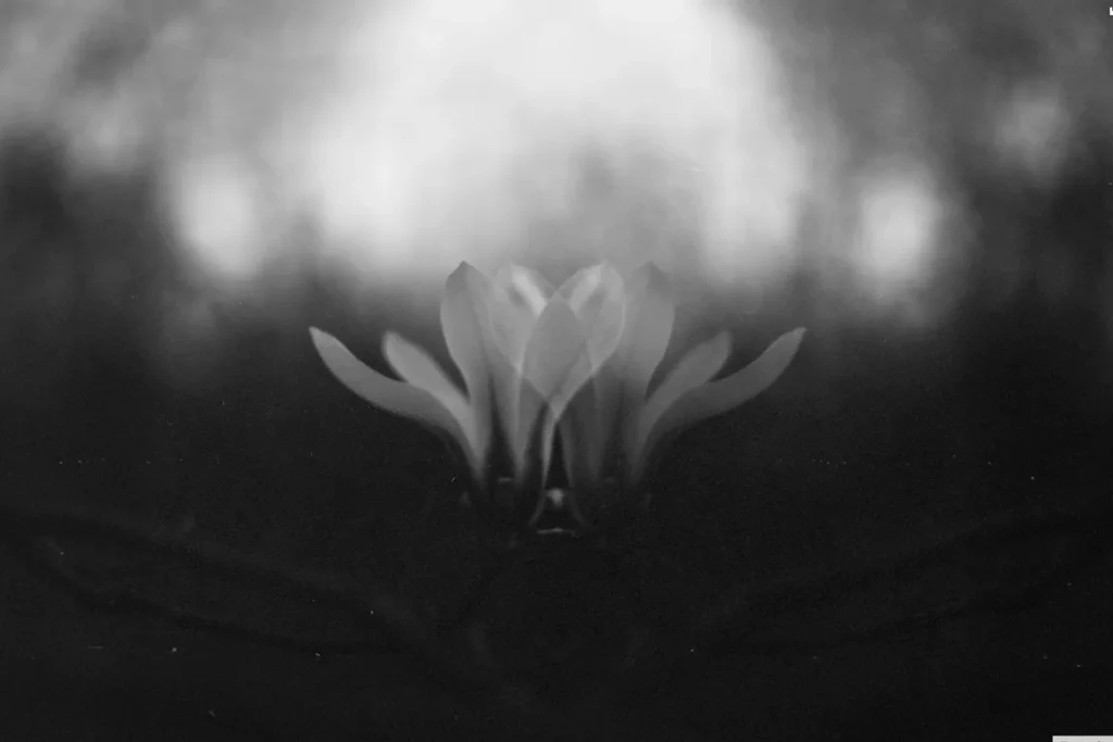 Abstract black-and-white image symbolizing righteousness, spiritual renewal, and right-standing with God through faith in Jesus Christ.