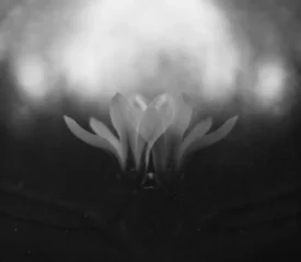 Abstract black-and-white image symbolizing righteousness, spiritual renewal, and right-standing with God through faith in Jesus Christ.